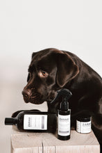 Last inn bildet i Galleri-visningsprogrammet, NEW// SPA ESSENTIALS Trio Set