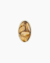 Load image into Gallery viewer, Green-lipped mussel for dogs
