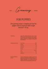 Last inn bildet i Galleri-visningsprogrammet, TRUTH PETS GROWING
