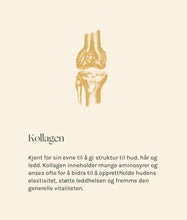 Last inn bildet i Galleri-visningsprogrammet, ESSENTIAL the MOBILITY BLEND 1L
