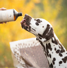 Last inn bildet i Galleri-visningsprogrammet, ESSENTIAL Omega-3 Olje 1L
