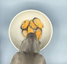 Load image into Gallery viewer, Green-lipped mussel for dogs
