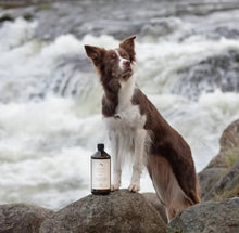 Last inn bildet i Galleri-visningsprogrammet, ESSENTIAL Omega-3 Olje 1L
