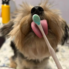 Last inn bildet i Galleri-visningsprogrammet, Puppy Polisher Pearl Eco Toothbrush Extra Small
