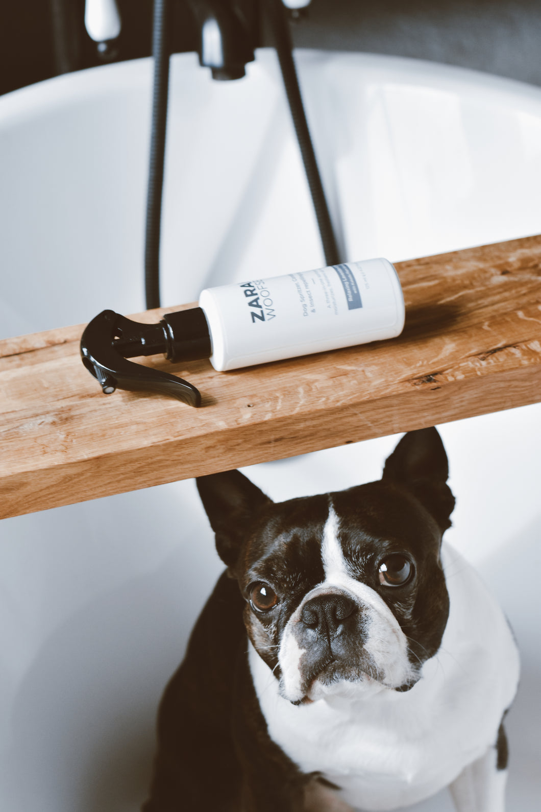 3-in-1 Dog Deo Spritzer, Conditioner & Insect Repelling Spray