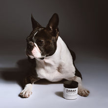 Last inn bildet i Galleri-visningsprogrammet, Naturlig øre-, nese- og potebalsam for hunder
