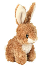 Last inn bildet i Galleri-visningsprogrammet, Hundeleke Be Eco Kanin
