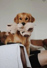 Last inn bildet i Galleri-visningsprogrammet, Hundeleke Bjørn
