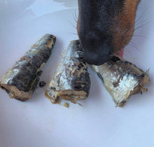 Load image into Gallery viewer, Wild Atlantic Coast Sardines
