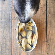 Load image into Gallery viewer, Green-lipped mussel for dogs
