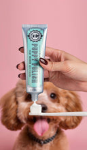 Last inn bildet i Galleri-visningsprogrammet, Puppy Polish Toothpaste - Filet Mignon (Beef)
