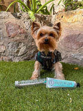 Last inn bildet i Galleri-visningsprogrammet, Puppy Polisher Pearl Eco Toothbrush Extra Small

